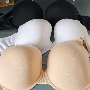 Set of Three Padded Tee Shirt Bras Black, White, Tan. NWT. 40 DDD.